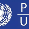 pnud